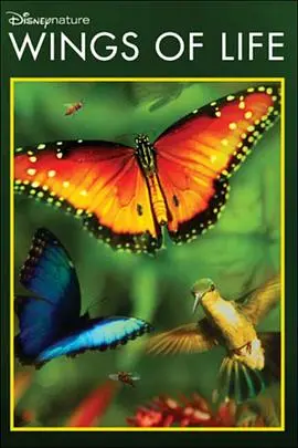 《生命之翼》：守护希望与梦想，谱写跨越时空的生命乐章