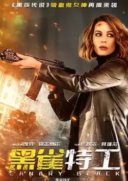 《黑雀特工》：间谍惊悚与英雄的惊险较量