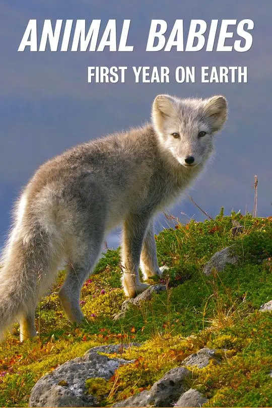 揭秘萌宝出生第一年：温馨家庭喜剧与成长趣事