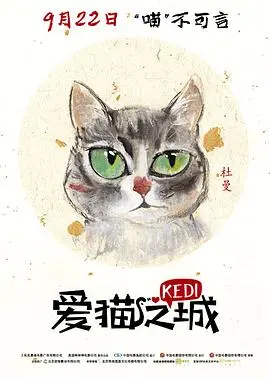 《爱猫之城》：伊斯坦布尔的喵星人传奇，一部关于爱与自由的城市诗篇