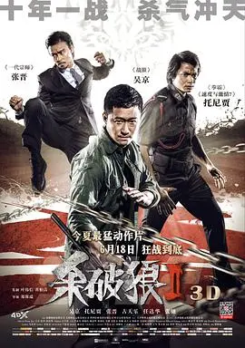 《杀破狼2》影评：拳拳到肉的宿命对决，超越前作的动作盛宴！