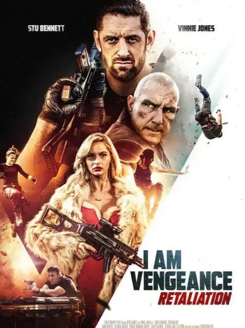 《我是复仇者2》：当英雄迟暮，复仇火焰能否再次点燃？深度解析与情感共鸣