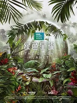 绿色星球：探索地球生态奇迹与人类未来的环保启示