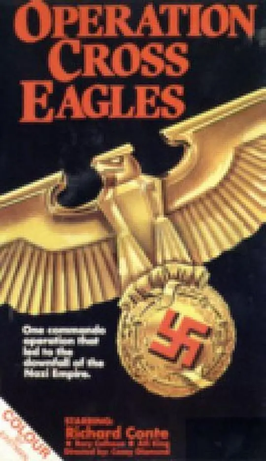 《十字鹰行动》：在血与火的交织中，见证一位动作巨星的巅峰时刻